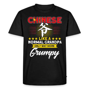 China Chinese Roots Gift - Men's Premium Organic T-Shirt - black - Front - Nico (187cm)