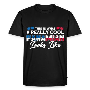 Drapeau panaméen cadeau racines panaméennes - T-shirt Premium bio Homme - noir - Devant - Nico (187cm)