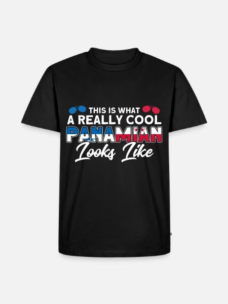 Panamanian Flag Panamanian Roots gift - Men's Premium Organic T-Shirt - black