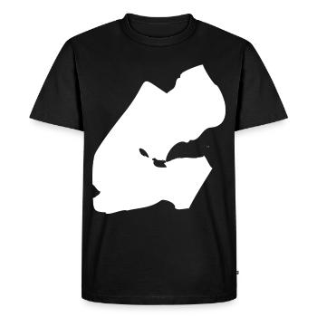Drapeau de la carte de Djibouti - T-shirt Premium bio Homme - noir - Devant - Nico (187cm)