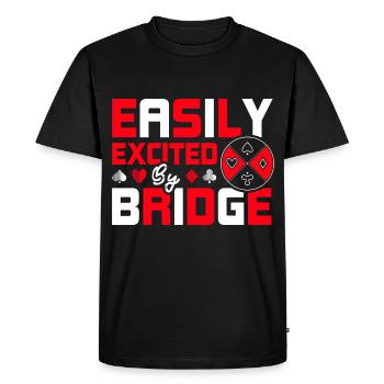 Slightly excited by bridge - Men's Premium Organic T-Shirt - black - Front - Nico (187cm)