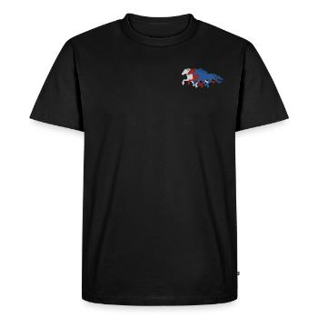 Islandais TROIS COULEURS - T-shirt Premium bio Homme - noir - Devant - Nico (187cm)