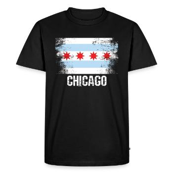 Lac Michigan, Illinois, États-Unis, Amérique américaine, cadeau - T-shirt Premium bio Homme - noir - Devant - Nico (187cm)