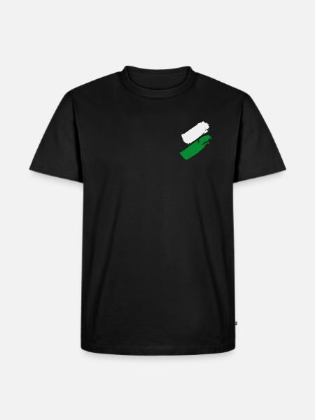 Steiermark Flagge - Männer Premium Bio T-Shirt - Schwarz