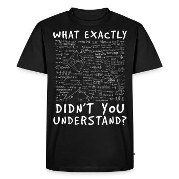 Math teacher - Men's Premium Organic T-Shirt - black - Front - Nico (187cm)