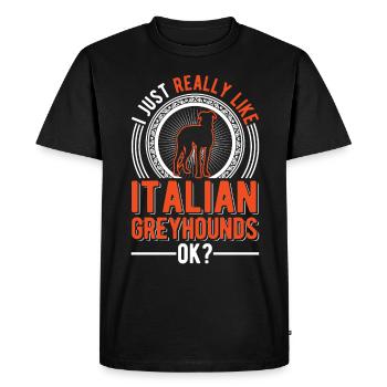 Cadeau de lévrier italien - T-shirt Premium bio Homme - noir - Devant - Nico (187cm)