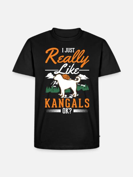 Kangal Hund Geschenk - Männer Premium Bio T-Shirt - Schwarz