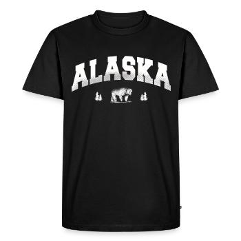 Alaska Gift Kids Men Women USA Nature Ice Cream - Men's Premium Organic T-Shirt - black - Front - Nico (187cm)