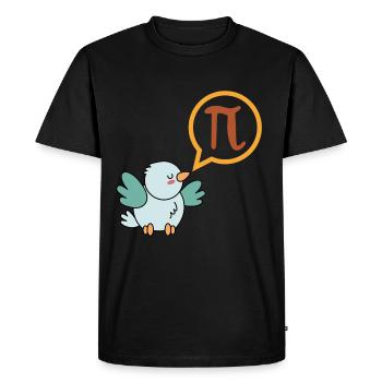 Cadeau de t-shirt drôle de pi pour les nerds de maths - T-shirt Premium bio Homme - noir - Devant - Nico (187cm)