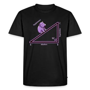 Hyppotenuse Hypotenuse Triangle Math Nerd Humor - Men's Premium Organic T-Shirt - black - Front - Nico (187cm)