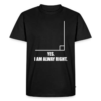 Professeur de mathématiques mathématiques - T-shirt Premium bio Homme - noir - Devant - Nico (187cm)