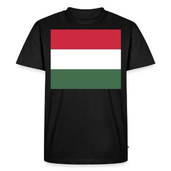 Masque de drapeau de la Hongrie - T-shirt Premium bio Homme - noir - Devant - Nico (187cm)