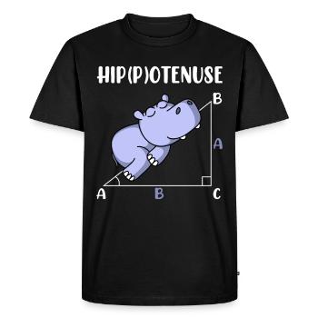 Hippotenuse mathématiques amusantes maths - T-shirt Premium bio Homme - noir - Devant - Nico (187cm)