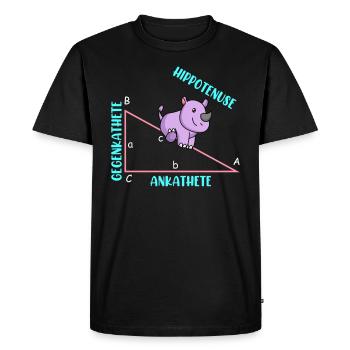 Mathématicien Professeur de mathématiques Hippotenuse - T-shirt Premium bio Homme - noir - Devant - Nico (187cm)