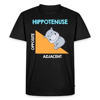 Analyse de l’algèbre d’Hippotenuse - T-shirt Premium bio Homme - noir - Devant - Nico (187cm)