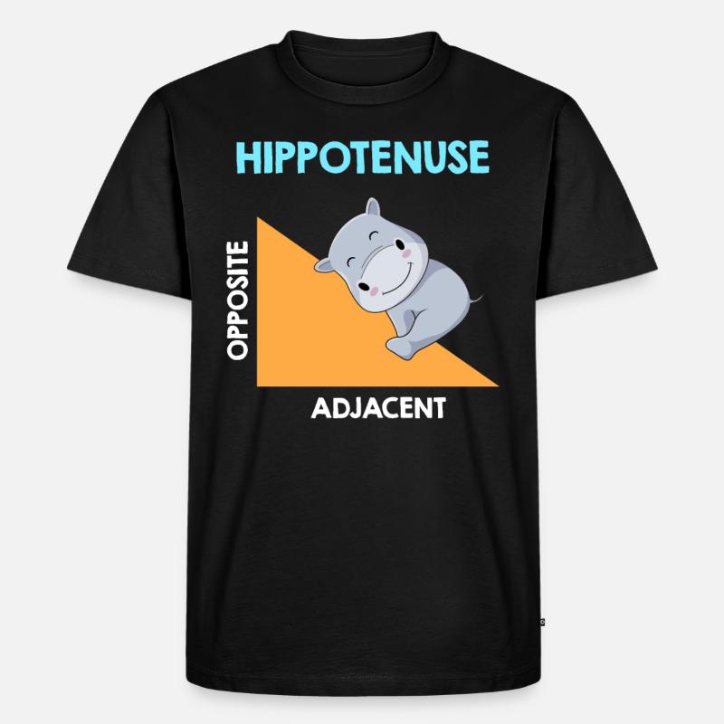 Hippotenuse Algebra Analysis - Männer Premium Bio T-Shirt - Schwarz