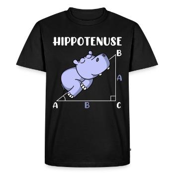 Hippotenuse mathématiques amusantes maths - T-shirt Premium bio Homme - noir - Devant - Nico (187cm)