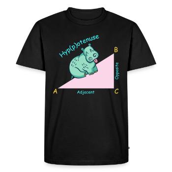 Professeur de mathématiques mathématicien Hippotenuse - T-shirt Premium bio Homme - noir - Devant - Nico (187cm)