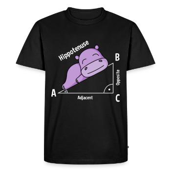 Math teacher Hipotenuse Math - Men's Premium Organic T-Shirt - black - Front - Nico (187cm)