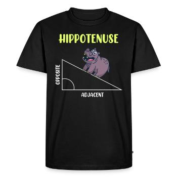 Hippotenuse Algèbre Mathématique Étudiant - T-shirt Premium bio Homme - noir - Devant - Nico (187cm)