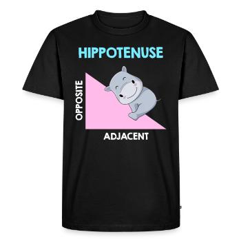 Hippotenuse Algebra Analysis - Men's Premium Organic T-Shirt - black - Front - Nico (187cm)