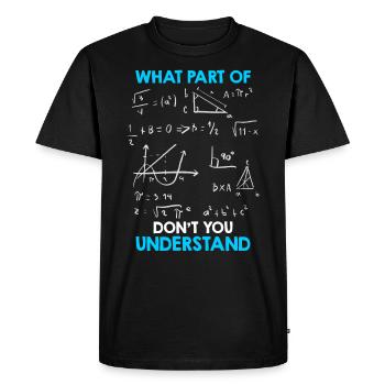 Quelle partie des mathématiques ne comprenez-vous pas? - T-shirt Premium bio Homme - noir - Devant - Nico (187cm)
