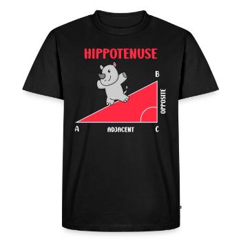 Hippotenuse Professeur de mathématiques Mathématicien - T-shirt Premium bio Homme - noir - Devant - Nico (187cm)