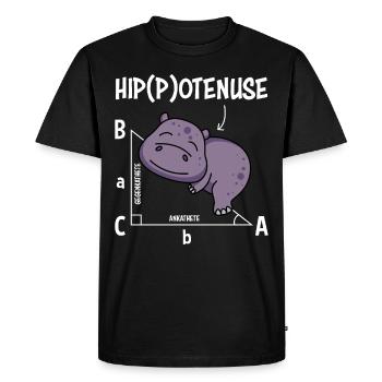 Professeur de mathématiques Hippotenuse Mathématiques - T-shirt Premium bio Homme - noir - Devant - Nico (187cm)