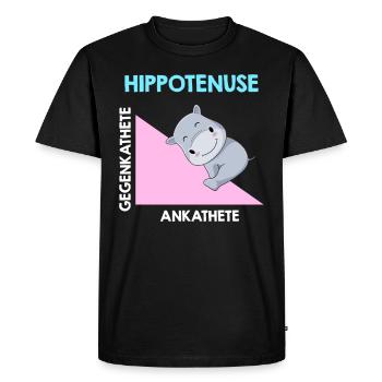 Analyse de l’algèbre d’Hippotenuse - T-shirt Premium bio Homme - noir - Devant - Nico (187cm)