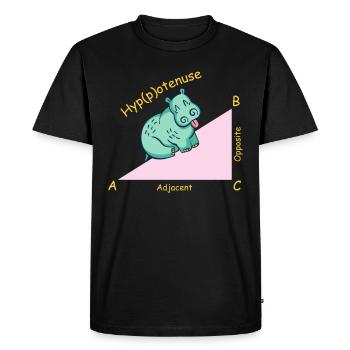 Math teacher mathematician Hippotenuse - Men's Premium Organic T-Shirt - black - Front - Nico (187cm)