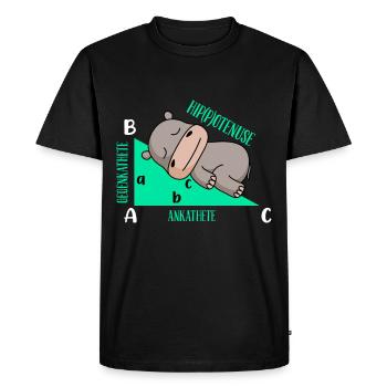 Lutiges Math Design Hipotenuse - T-shirt Premium bio Homme - noir - Devant - Nico (187cm)