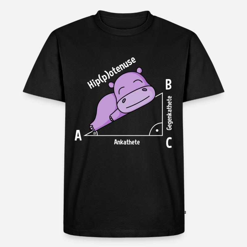 Mathelehrer Hipotenuse Mathe - Männer Premium Bio T-Shirt - Schwarz