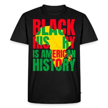 Histoire des Noirs Histoire américaine Histoire Afrique - T-shirt Premium bio Homme - noir - Devant - Nico (187cm)
