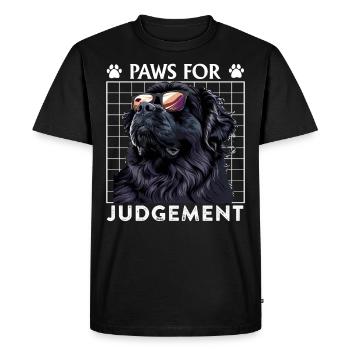 Terre-Neuve-et-Labrador À LA RECHERCHE D’UN JUGEMENT Terre-Neuve - T-shirt Premium bio Homme - noir - Devant - Nico (187cm)