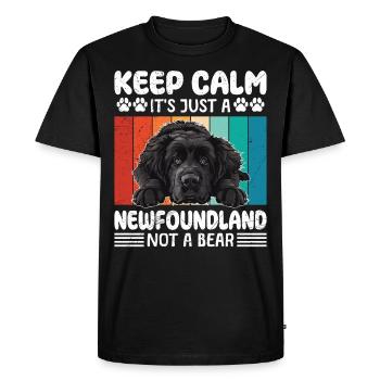 Newfie RESTEZ AU FRAIS TERRE-NEUVE SANS GRIZZLY - T-shirt Premium bio Homme - noir - Devant - Nico (187cm)