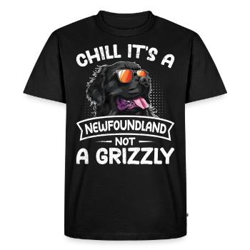 Propriétaire de Newfie CHILL C’EST UN TERRE-NEUVE, PAS UN - T-shirt Premium bio Homme - noir - Devant - Nico (187cm)