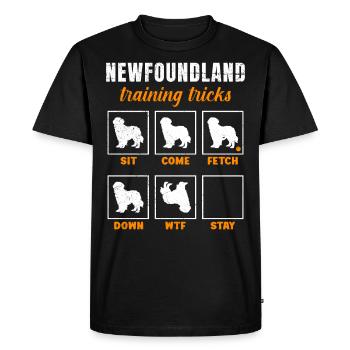 Propriétaire de Newfie ASTUCES D’ENTRAÎNEMENT DE TERRE-NEUVE - T-shirt Premium bio Homme - noir - Devant - Nico (187cm)