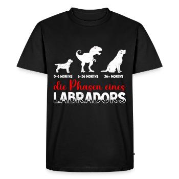 Labrador Besitzer DIE PHASEN EINES LABRADORS Cool - Männer Premium Bio T-Shirt - Schwarz - Vorne - Nico (187cm)