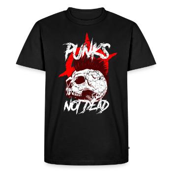 Punk Punk Rock Musique Punks Anarchy Punk Gift - T-shirt Premium bio Homme - noir - Devant - Nico (187cm)