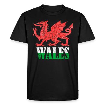 Wales Flag St Davids Day Cymraeg Welsh Coat of Arms - Men's Premium Organic T-Shirt - black - Front - Nico (187cm)