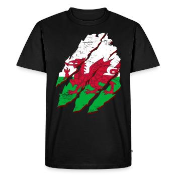 Wales Flag St Davids Day Cymraeg Welsh Coat of Arms - Men's Premium Organic T-Shirt - black - Front - Nico (187cm)