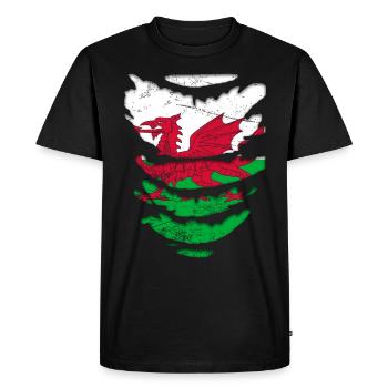 Wales flag St Davids Day Cymraeg Welsh coat of arms - Men's Premium Organic T-Shirt - black - Front - Nico (187cm)