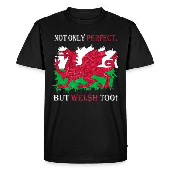 Wales flag St Davids Day Cymraeg Welsh coat of arms - Men's Premium Organic T-Shirt - black - Front - Nico (187cm)