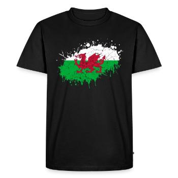 Pays de Galles - T-shirt Premium bio Homme - noir - Devant - Nico (187cm)