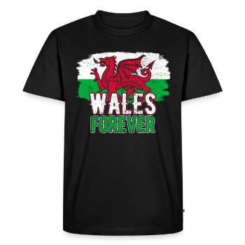 Pays de Galles - T-shirt Premium bio Homme - noir - Devant - Nico (187cm)