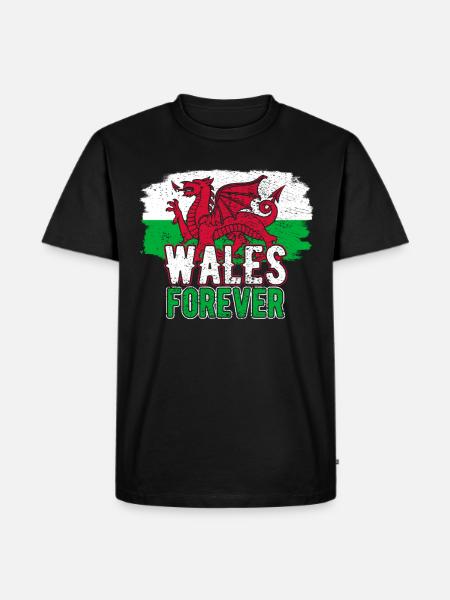 Wales - Men's Premium Organic T-Shirt - black