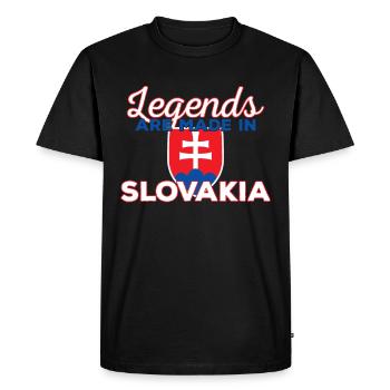 Slovaquie - T-shirt Premium bio Homme - noir - Devant - Nico (187cm)