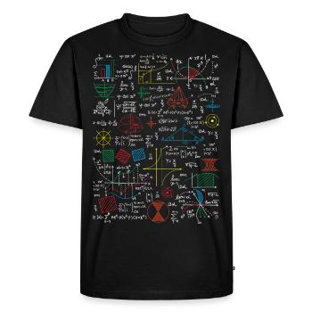 Formules mathématiques drôles de professeur de mathématiques - T-shirt Premium bio Homme - noir - Devant - Nico (187cm)