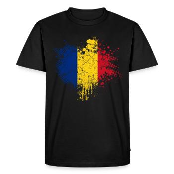 Roumanie Pavillon - T-shirt Premium bio Homme - noir - Devant - Nico (187cm)