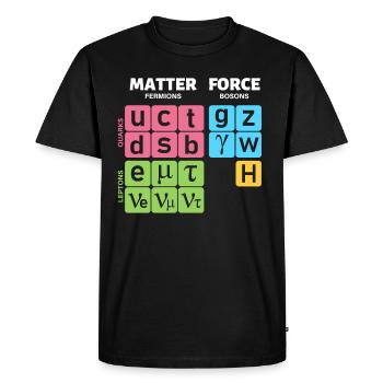 Modèle standard de physique des particules avec boson de Higgs - T-shirt Premium bio Homme - noir - Devant - Nico (187cm)